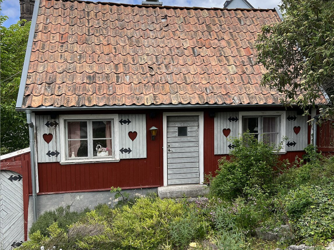 Your Gotland Tours景点图片