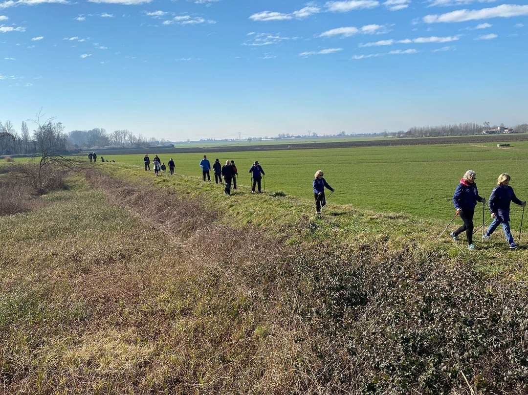 Parco Regionale di Interesse Locale del Reghena, Lemene e Laghi di Cinto-Cinto Caomaggiore必去景点