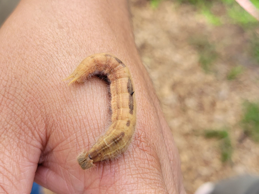 Maripoxa Ecotours-奥克萨潘帕必去景点