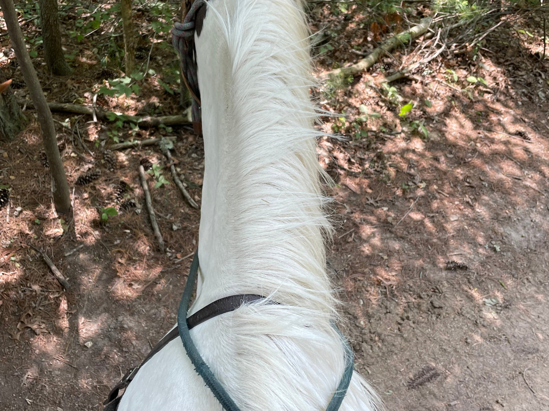 Rocking S Ranch-温切斯特必去景点