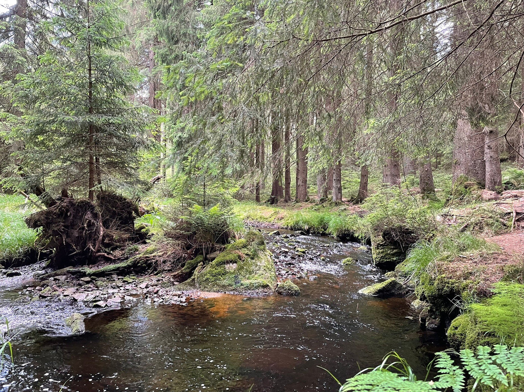 Naturlehrpfad Bischofsgrün景点图片