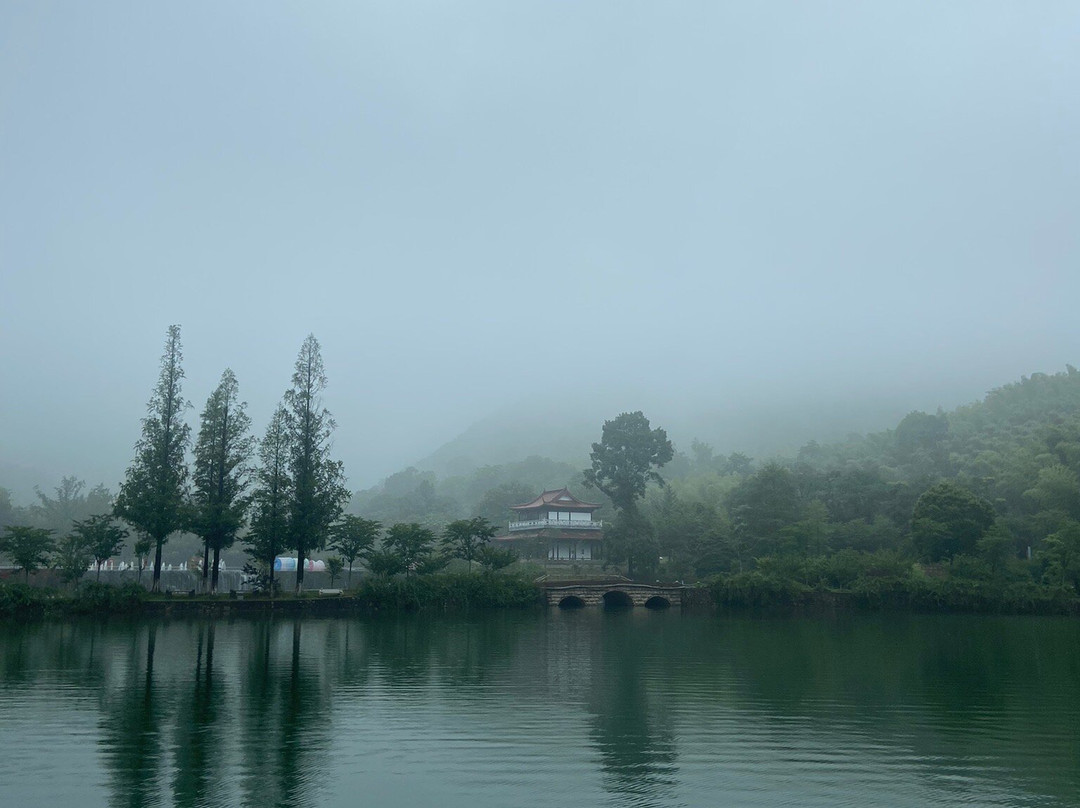 宜兴竹海景点图片