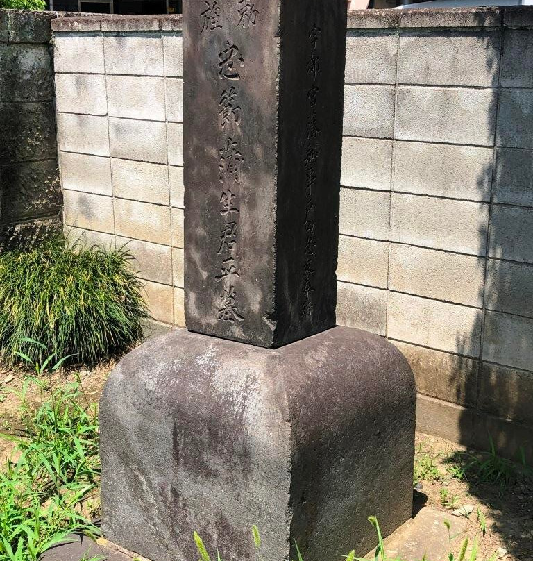 Rinko-ji Temple-Yanaka必去景点