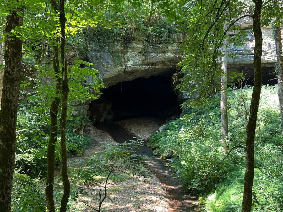 Russell Cave National Monument景点图片