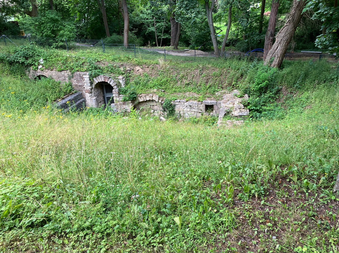 Seeliger Park景点图片