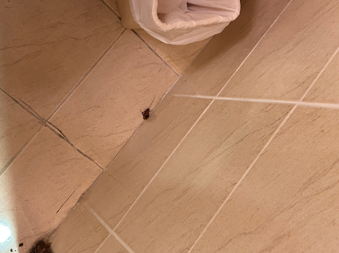 Al Murjan Palace Hotel主图