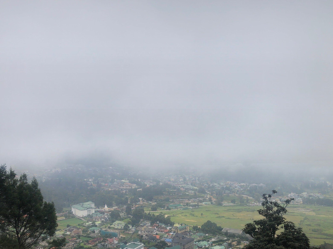 Single Tree Hill-奴娃拉伊利雅必去景点