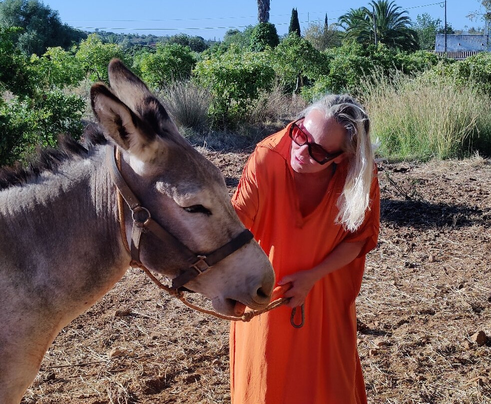 Solar Alvura Health Hotel主图