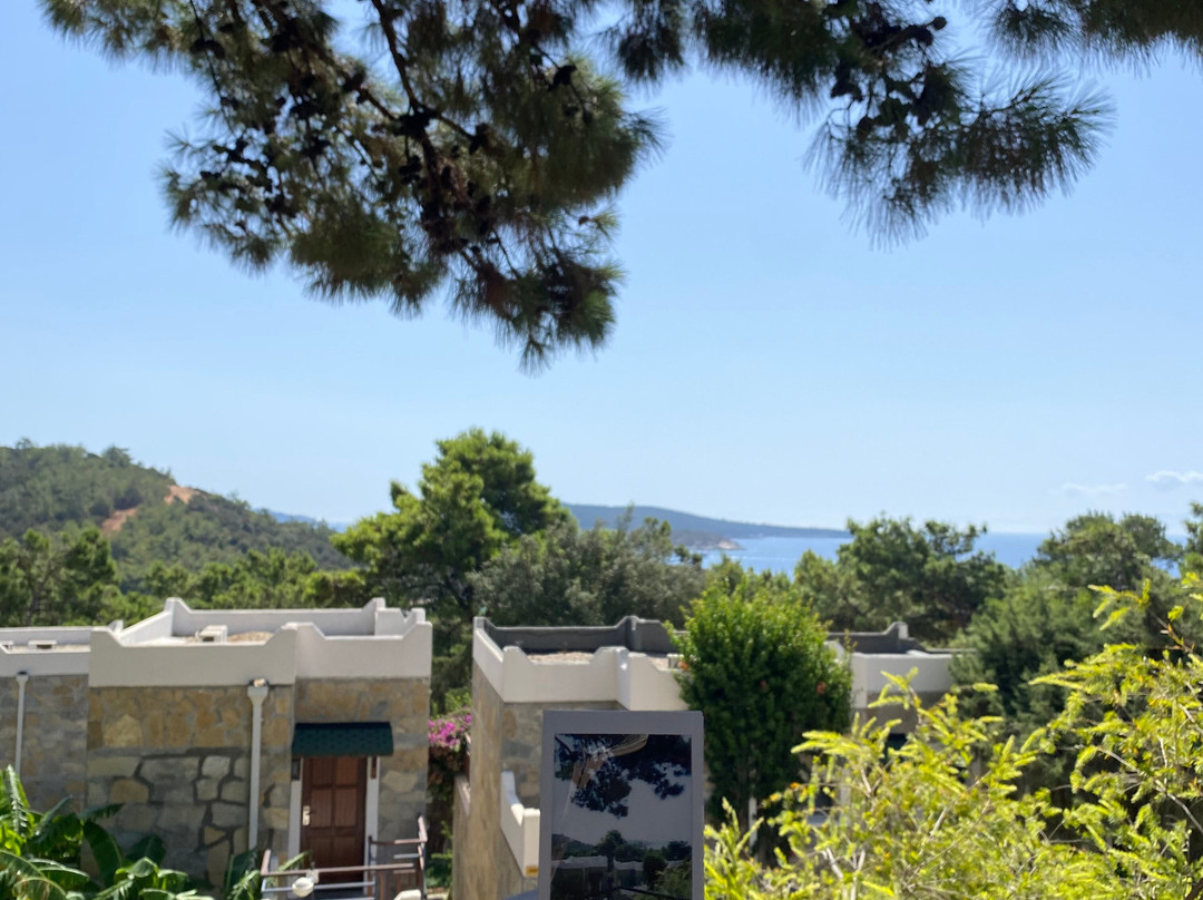 Bodrum Park Resort主图