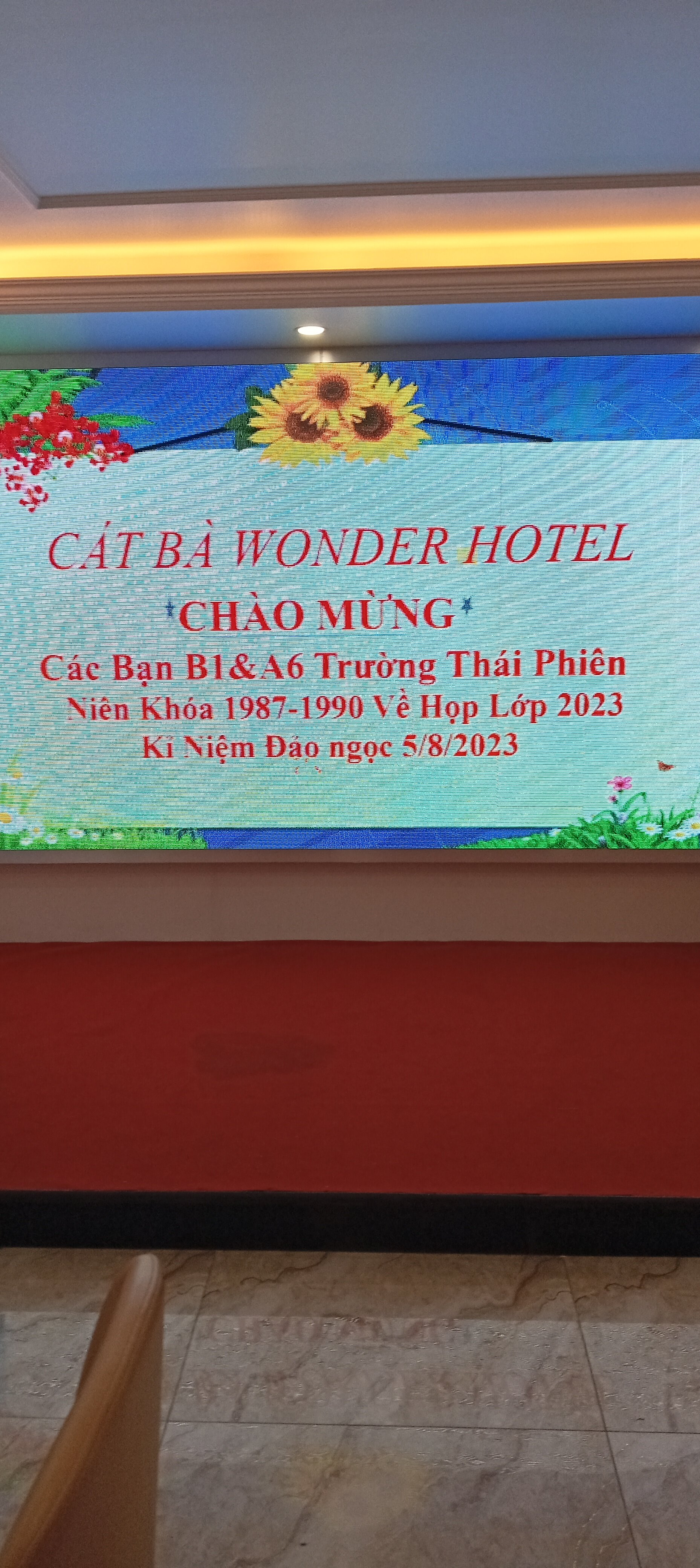 Cat Ba Wonder Hotel-官方