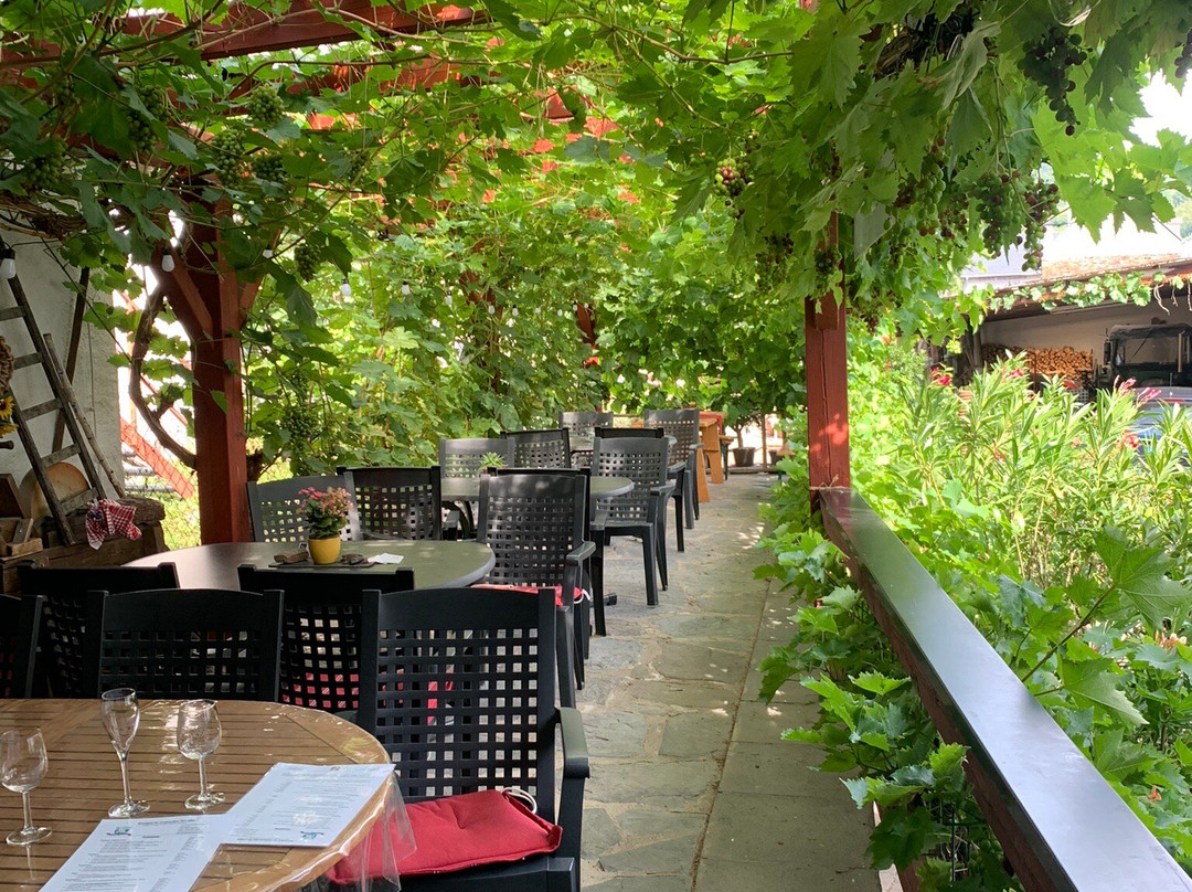 施耐德费瑞恩葡萄酒庄主图