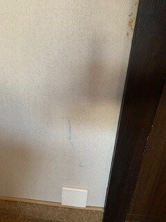 韦恩尼布尔格酒店-客卧