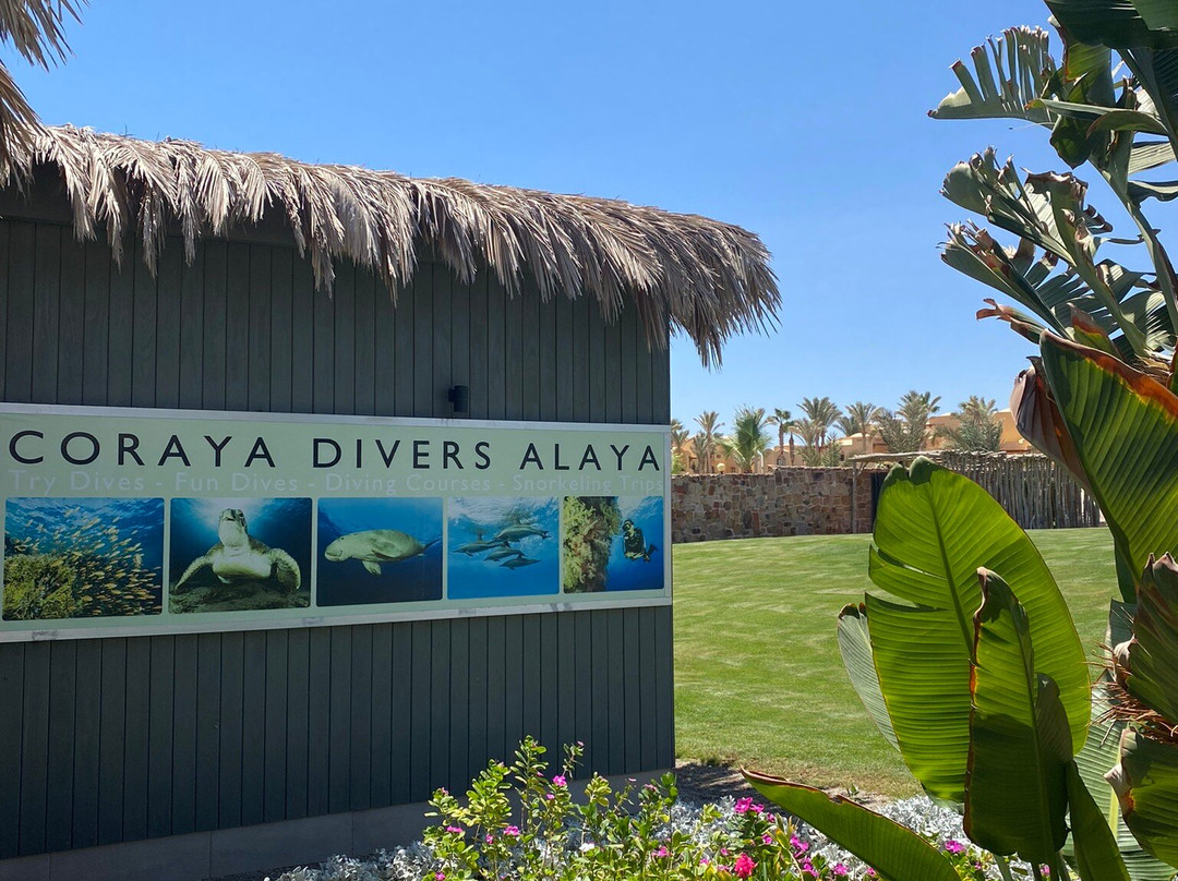 Coraya Divers Alaya景点图片
