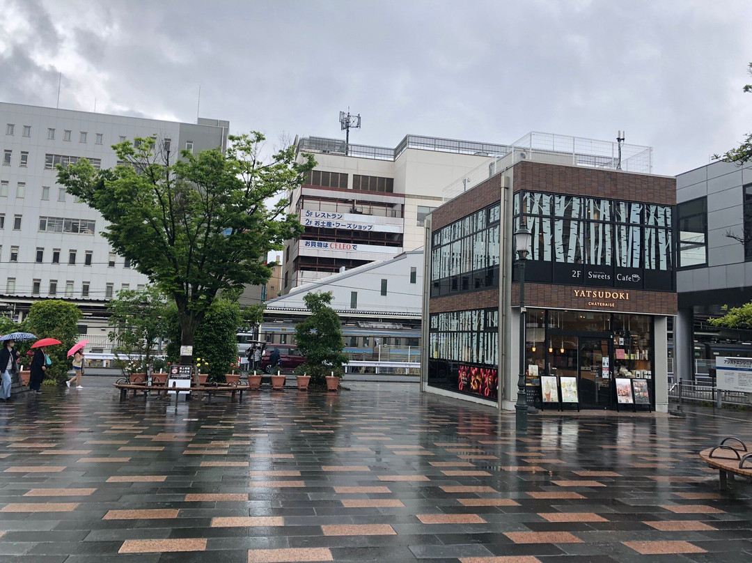 Kofu City History Park景点图片