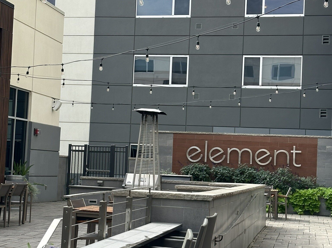 Element Fargo主图