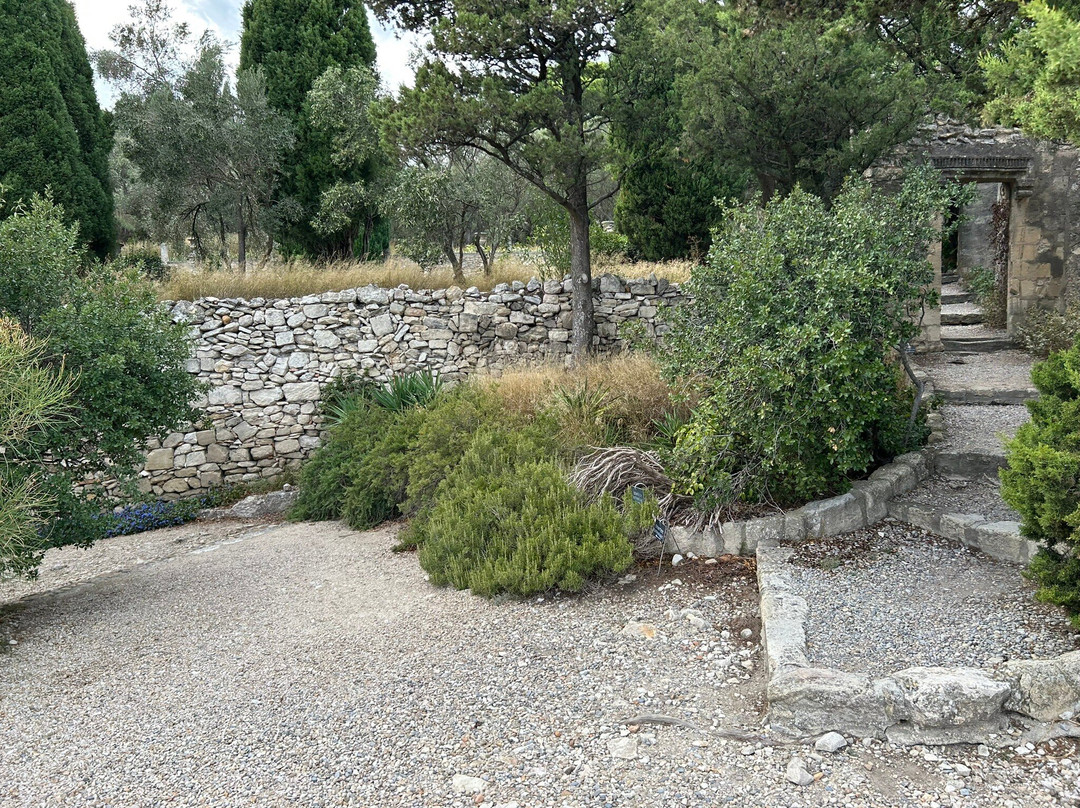 Jardins de l'abbaye Saint-André景点图片