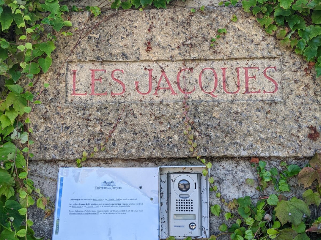 Château Des Jacques景点图片