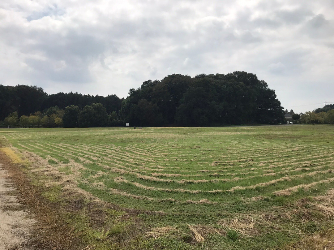 Shimotsuke Kokubun-ji Temple Remains-下野市必去景点
