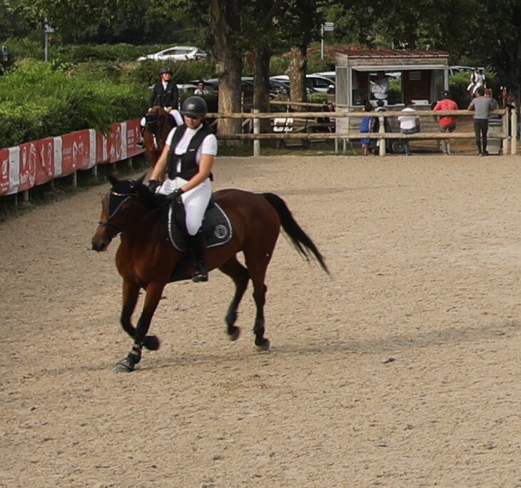Haras National de Cluny景点图片