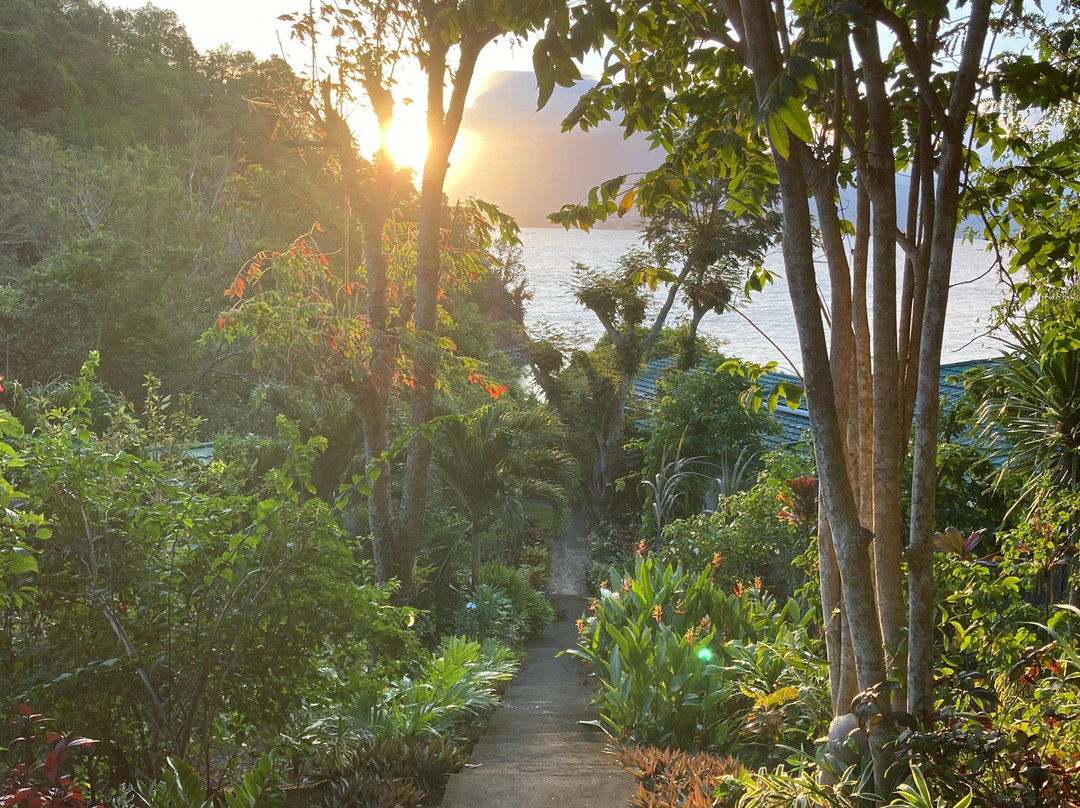 Divers Lodge Lembeh主图