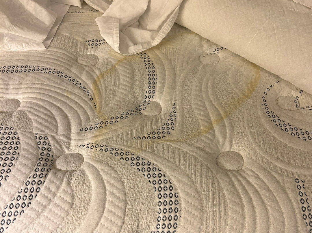 雷丁希尔顿花园酒店主图