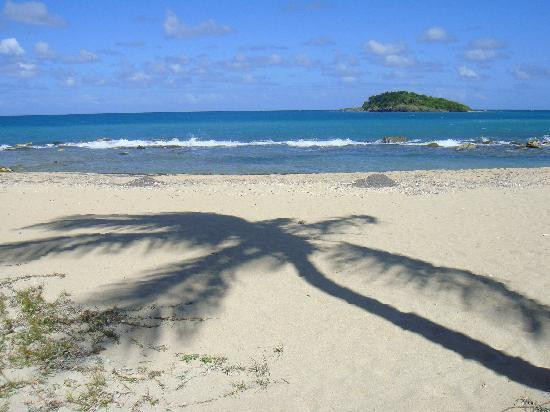 Green Cay-圣克鲁斯必去景点