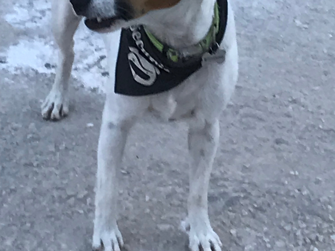 Finca Gran Cerros主图