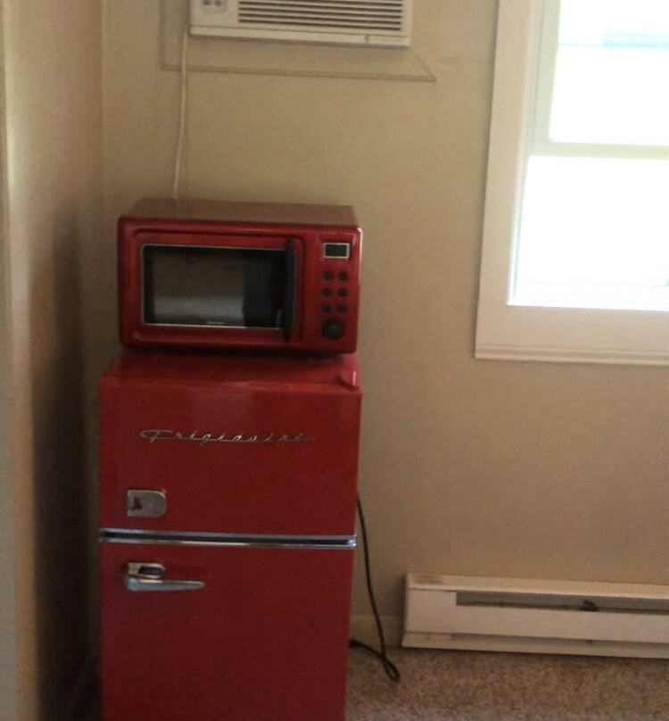 The Little Lion主图