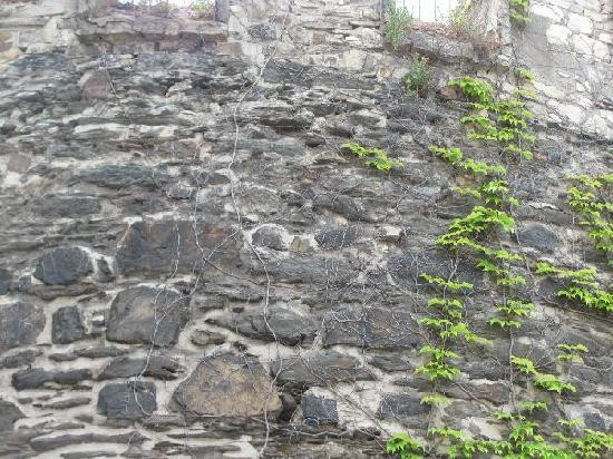 Strunk-Lorch必去景点