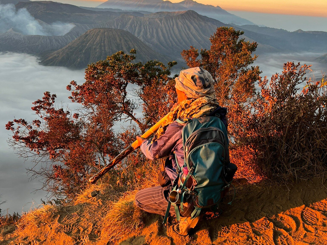 Bromo Ijen Tourist Friends-西多尔佐必去景点
