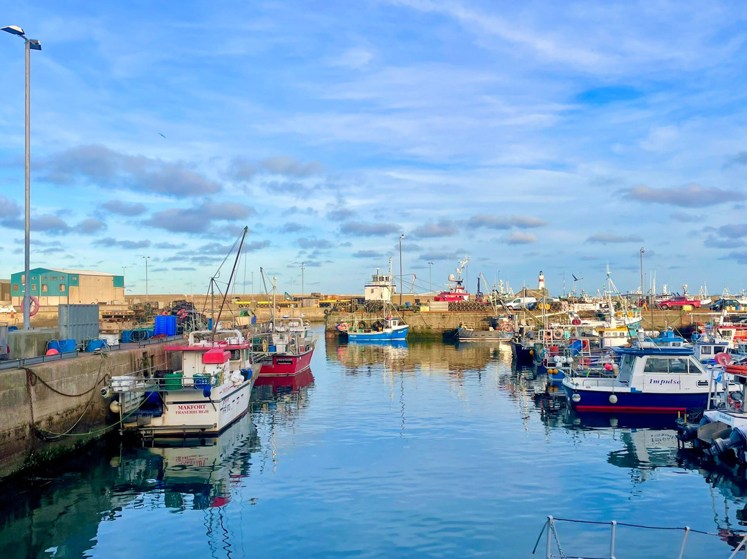 Fraserburgh Harbour-Fraserburgh必去景点