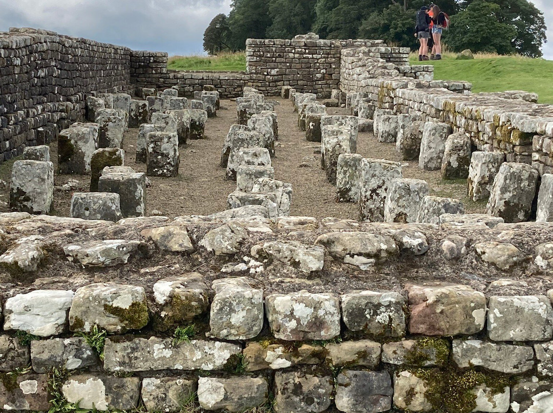 Housesteads Roman Fort - Hadrian's Wall景点图片