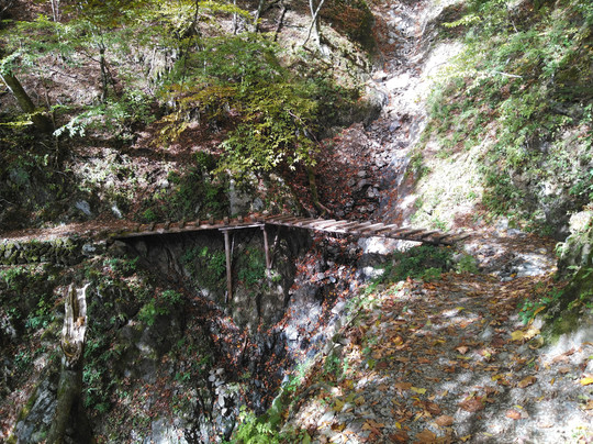 Mt. Kumotori-奥多摩町必去景点