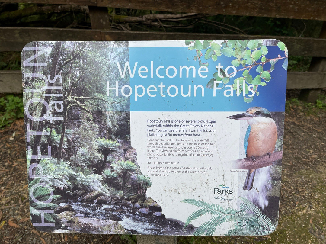 Hopetoun Falls-Beech Forest必去景点