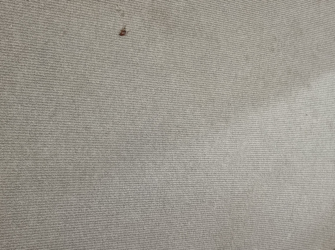 Wine Country Motor Inn主图