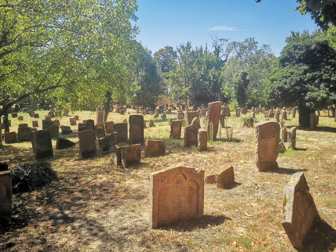 Jewish Cemetery "Holy Sands"-沃尔姆斯必去景点