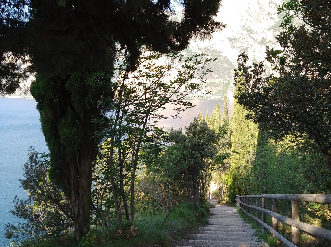 Monte Brione景点图片