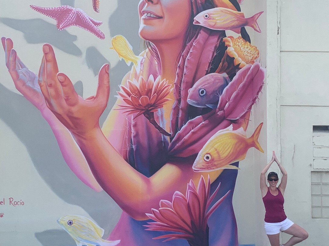 Aruba Mural Tours-San Nicolas必去景点