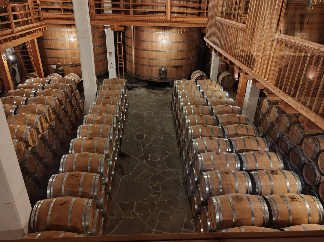 Distilleria Marzadro-Nogaredo必去景点