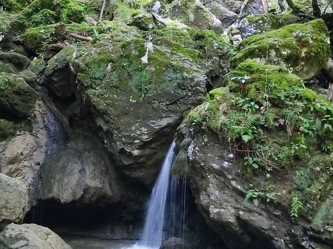 Pekel Gorge-Borovnica必去景点