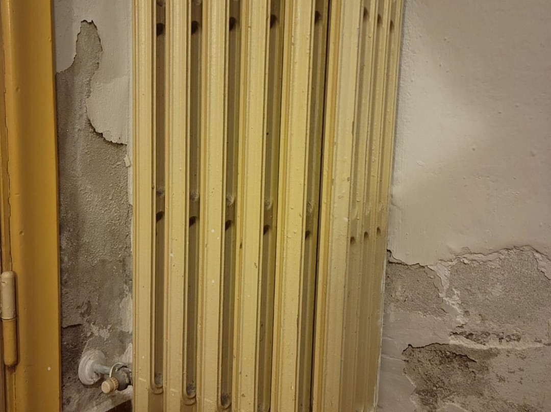 Hotel Il Rustichello主图