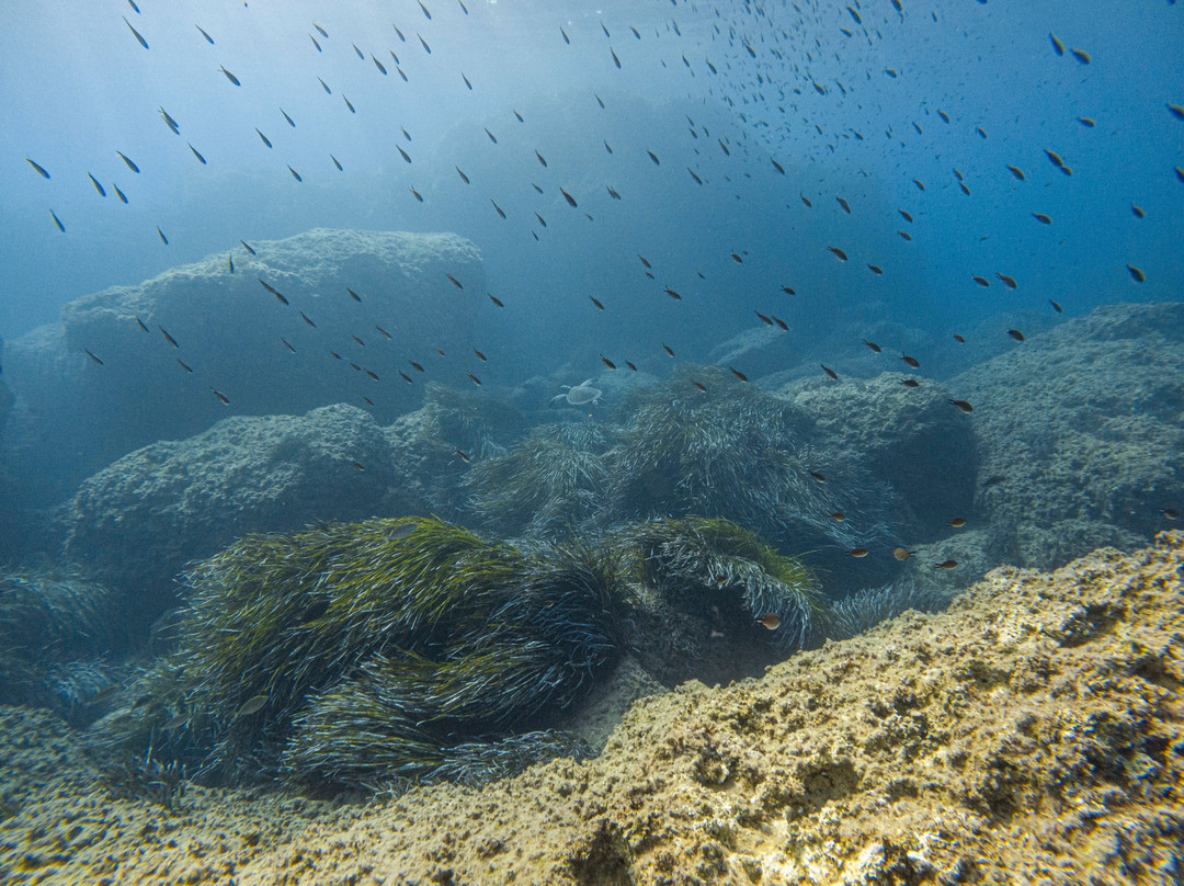 TD Diving-利马索尔必去景点