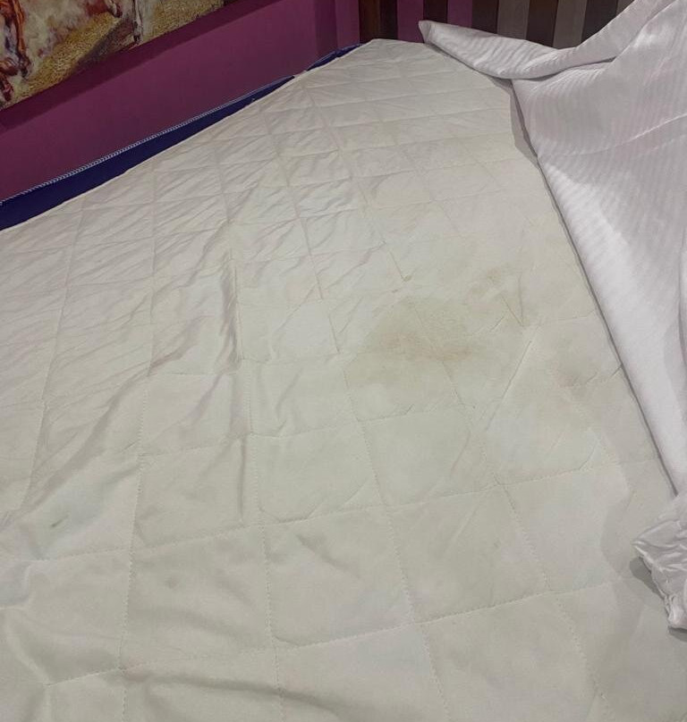 Tembea Coasto Safaris