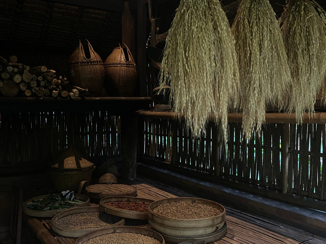 Miso Bali Tour景点图片
