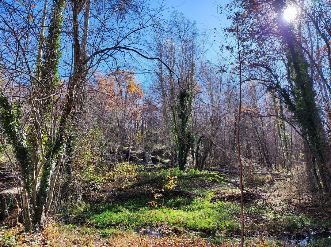 Bosque Finlandes-Rascafria必去景点