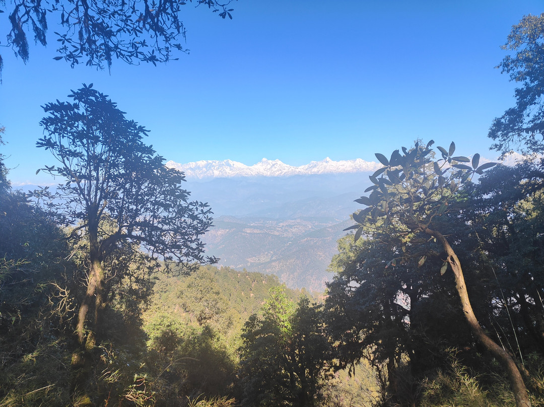 Binsar Wildlife Sanctuary景点图片