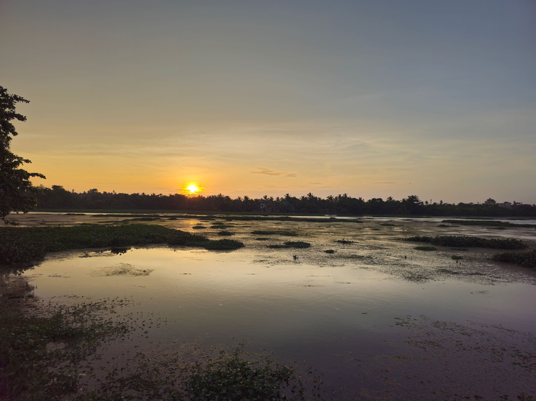 Ayurveda Spring Of Life主图