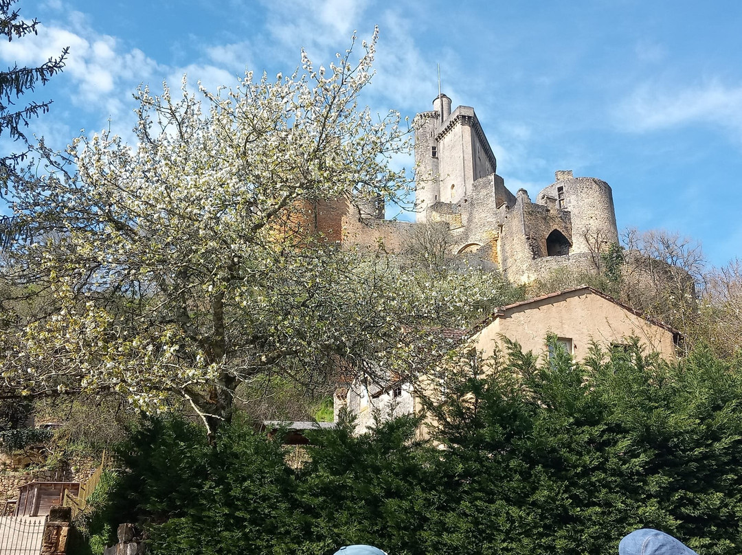 Le Clos Des Figuiers