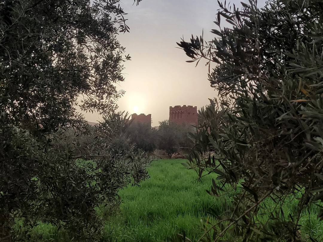 Morocco Best Travel-马拉喀什必去景点