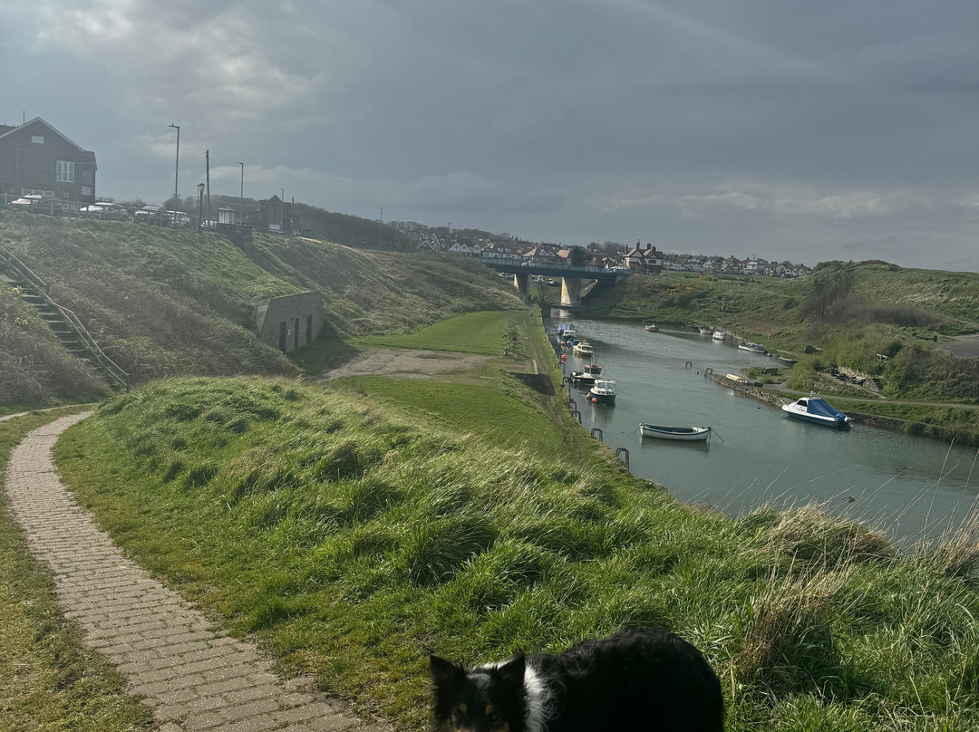 Seaton Sluice Beach-Seaton Sluice必去景点